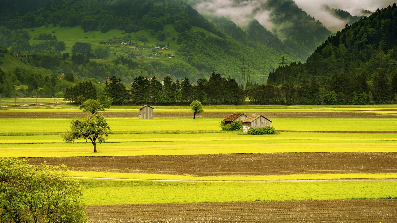 field, valley, landscape-176602.jpg